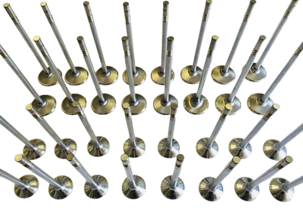 2011-26 5.0 Ford Coyote Stainless Steel Hi FLOW Valves Gen 1-4